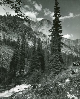 Picture of Blodgett Canyon Bitterroot National Rest